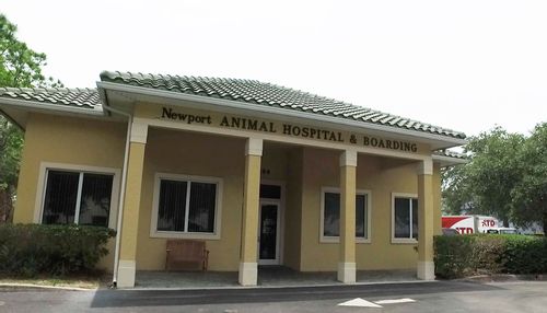 Welcome to Newport Animal Hospital in Bonita Springs, FL. 