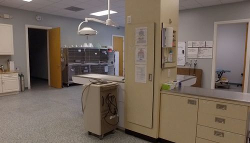 The dental station at Newport Animal Hospital. 