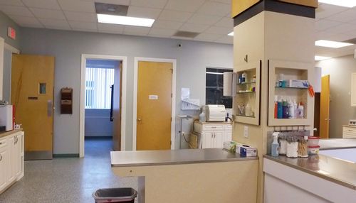 The treatment area at Newport Animal Hospital. 